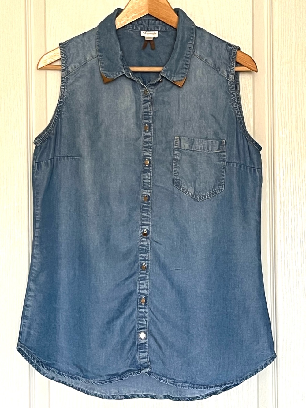 Dynamite Sleeveless Tencel Chambray Denim Button Up Top Blue Large